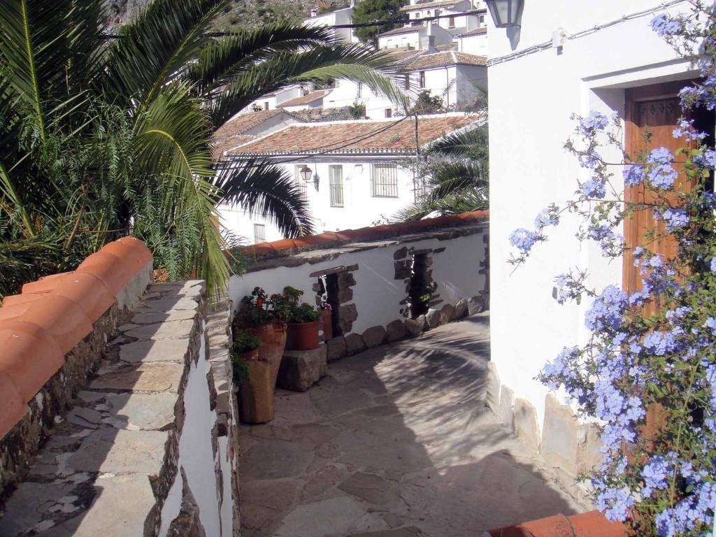 Apartamentos Buganvilla Villaluenga Del Rosario Rum bild