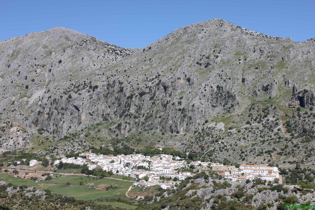 Apartamentos Buganvilla Villaluenga Del Rosario Exteriör bild